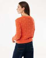 Models_images_1