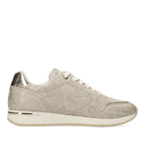 Packshots
