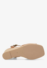 Packshots