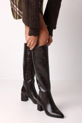 Models_images_1